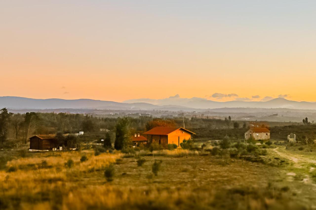 Vila Da Laje - Onde A Natureza O Envolve - Serra Da Estrela Оливейра-ду-Ошпитал Экстерьер фото