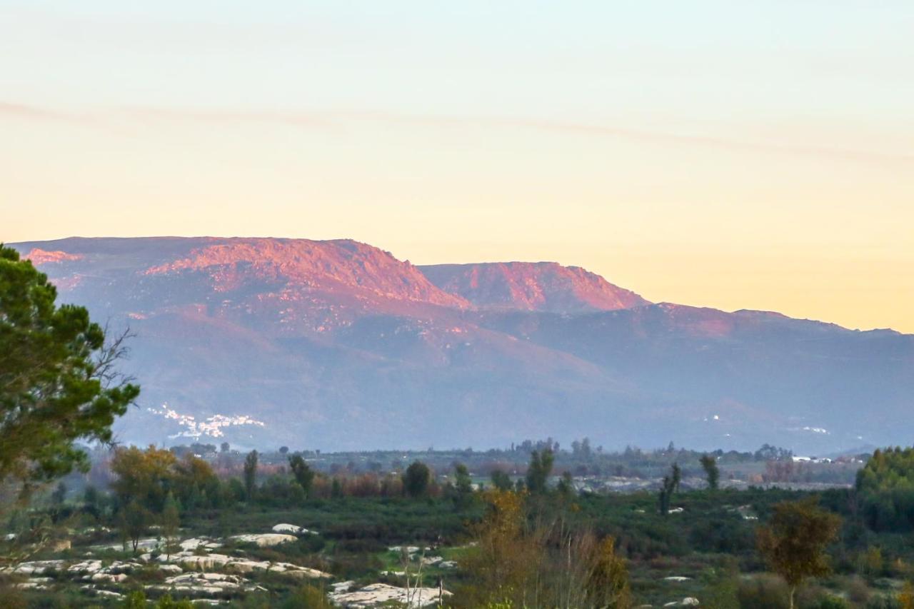 Vila Da Laje - Onde A Natureza O Envolve - Serra Da Estrela Оливейра-ду-Ошпитал Экстерьер фото
