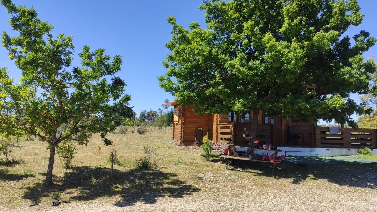 Vila Da Laje - Onde A Natureza O Envolve - Serra Da Estrela Оливейра-ду-Ошпитал Экстерьер фото